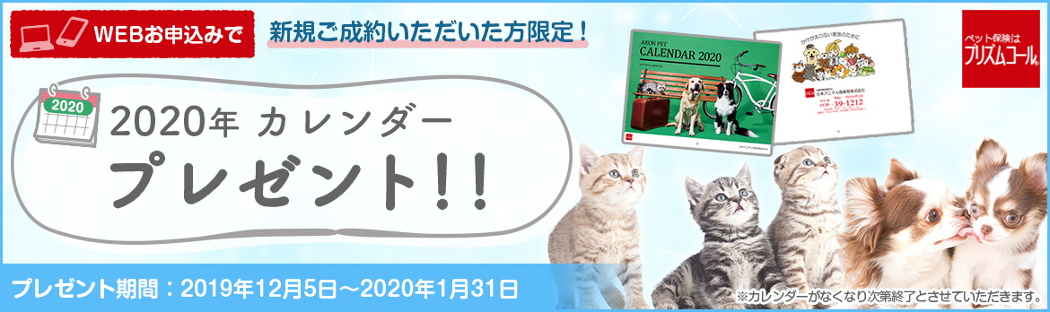 Sbiプリズム少短の評判 口コミとペット保険詳細